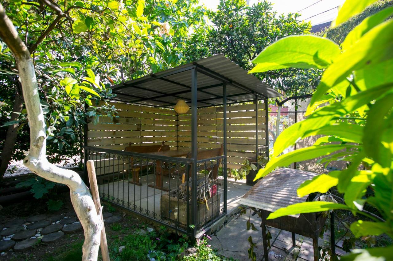 Guest House Lavr Gagra Esterno foto