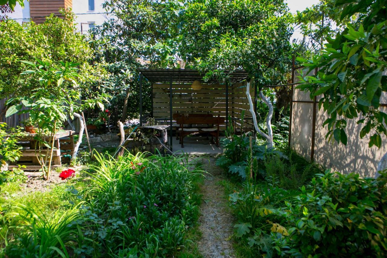Guest House Lavr Gagra Esterno foto